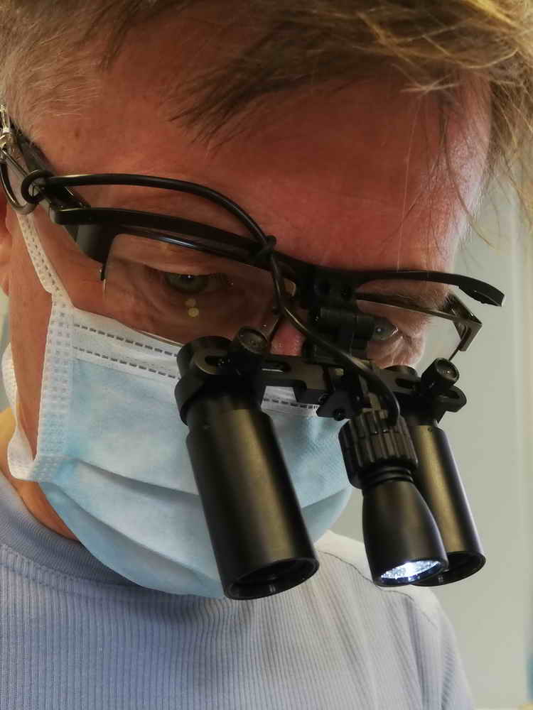 Dr. Joerg Werner com LEDental EndoView